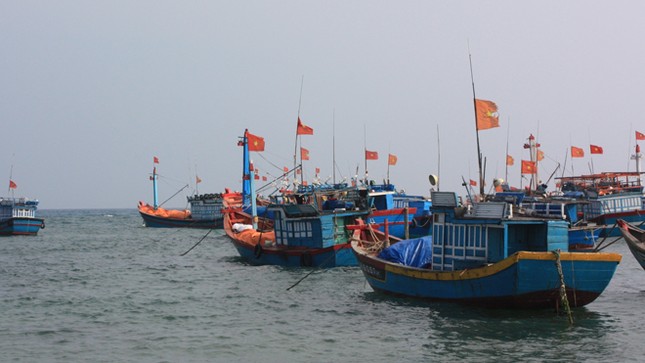 Sản vật Hoàng Sa ra thế giới ảnh 2